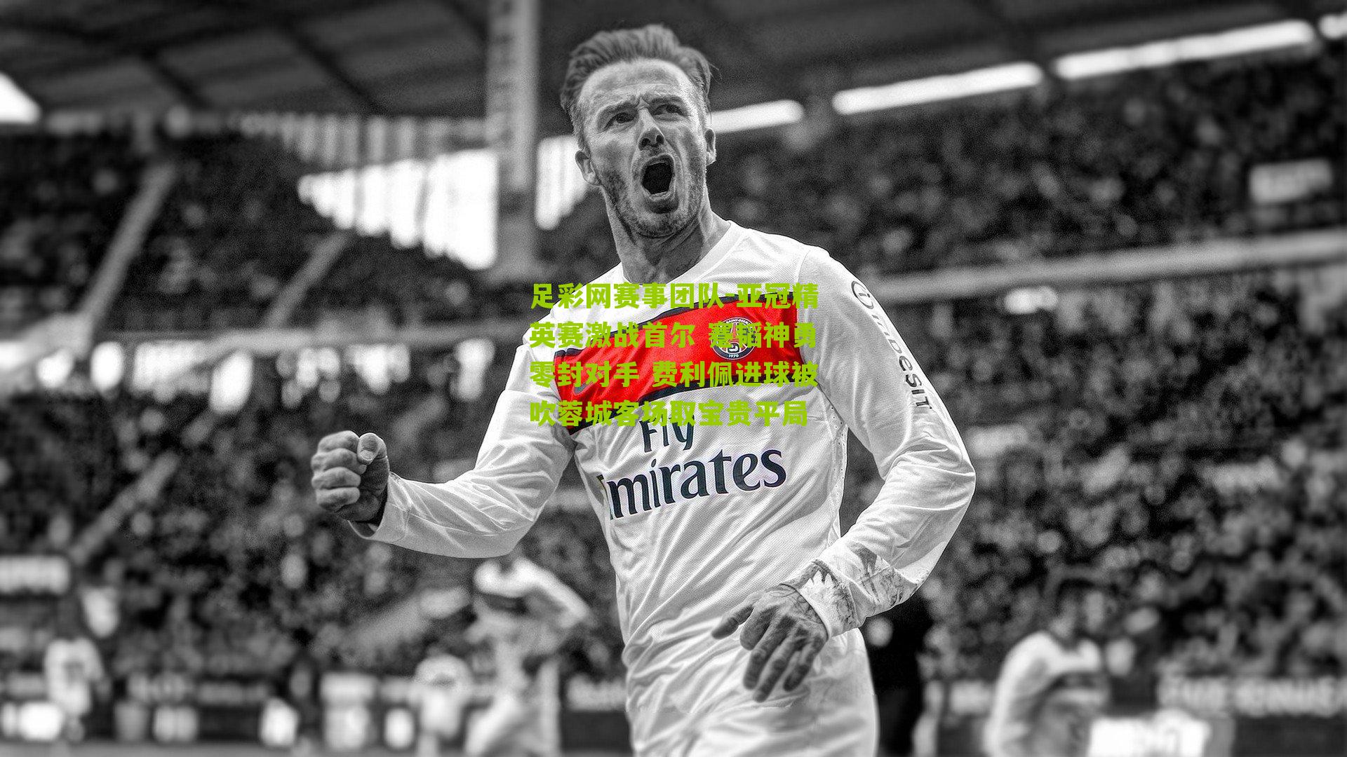 亚冠精英赛激战首尔 蹇韬神勇零封对手 费利佩进球被吹蓉城客场取宝贵平局